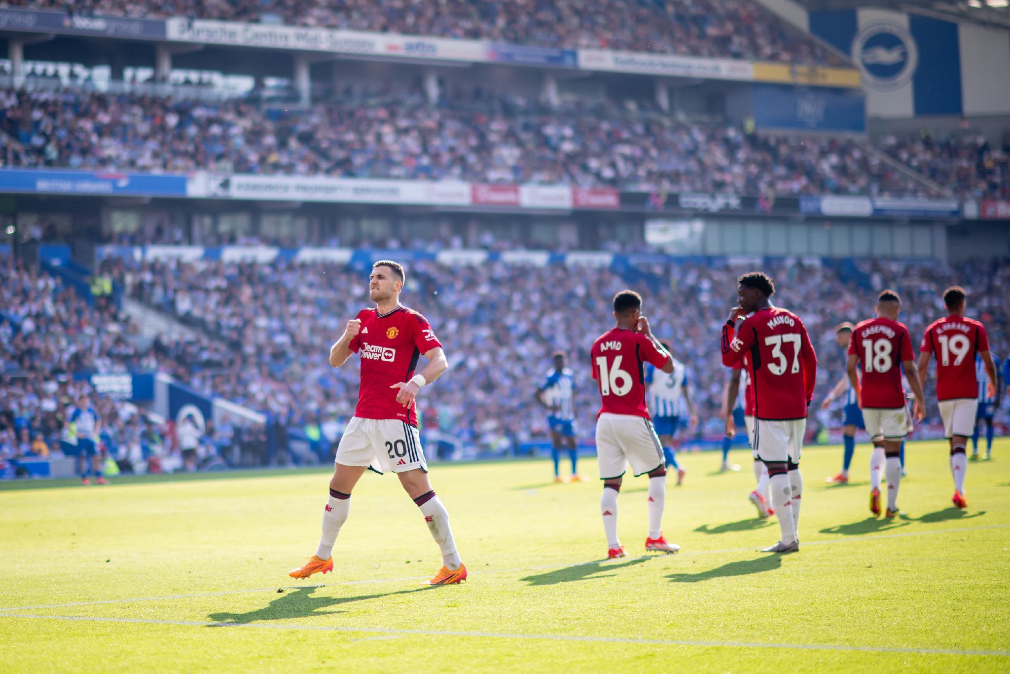 他们具有国 他们具有国